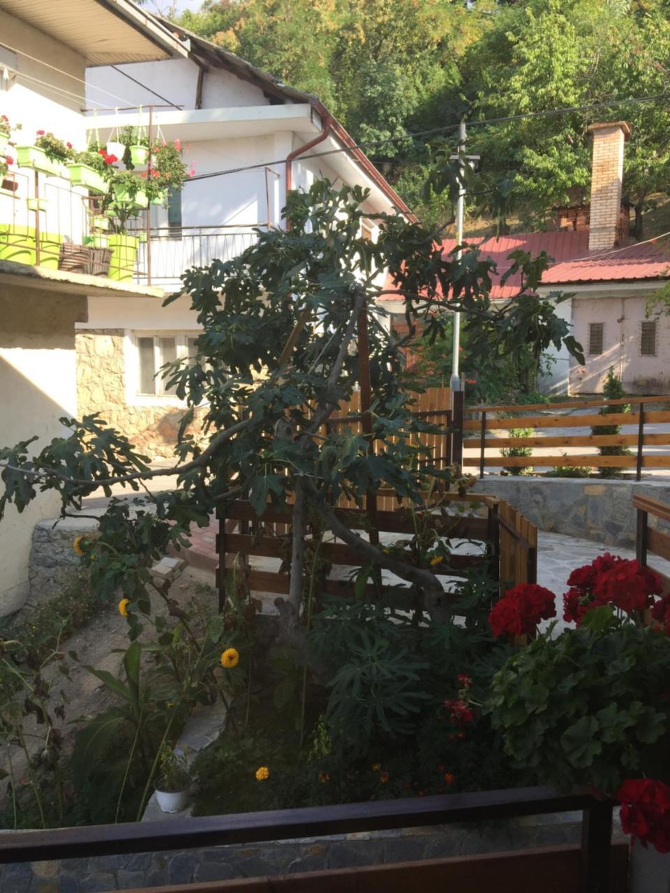 Apartament Madox Ochryda Zewnętrze zdjęcie